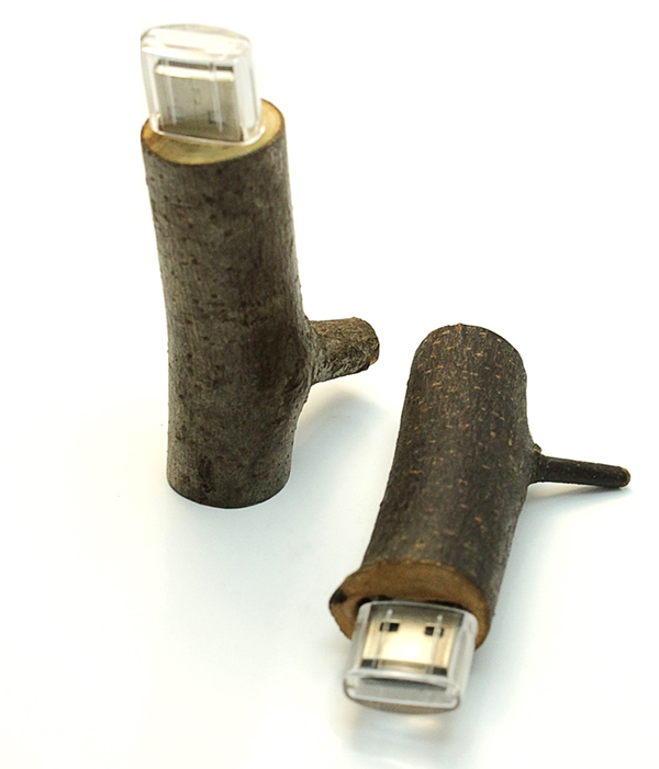 Pendrive USB w kształcie gałążki